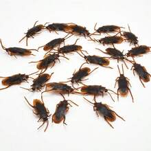 Realistic Fake Cockroach Prank Insect Toy, Lifelike Plastic Roach, Novelty Practical Joke Prop, Surprise Scare Toy For Party & April Fool Gag Gift - Multicolor - View 8