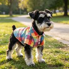1pc Colorful Plaid Shirt, Bold Colorful Design Creates A Sophisticated Style Shirt. Suitable For Small, Medium And Large Dogs And Puppies. Snap Button Design For Easy Dressing, Non-Elastic Fabric, Slim Fit Lightweight Material Suitable For All Seasons. Perfect For Various Outdoor Sports And Parties, Definitely The Most Elegant And Cute! - Multicolor - View 1