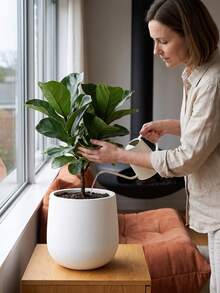 1pc Modern Matte White Plant Pot With Matching Tray, Round Minimalist Indoor Planter With Drainage Hole, Lightweight Shatter-Resistant Decorative Pot, Suitable For Home Living Room, Fits Pothos, Succulents And Indoor Plants - A - View 4