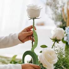 1 捲深綠色花藝膠帶，防水尼龍材質，可用於包裹花莖、花藝裝飾、胸花、婚禮花束、聖誕手工藝，花藝師用品，可拉伸且具黏性，附使用教學 - 彩色 - 查看 10