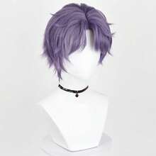 Perple Men Synthetic Short Straight Wigs Middle Part Anime Game Cosplay Fluffy Heat Resistant Wig For Daily Party - Purple - View 5