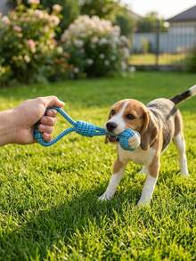 1/3/5pcs Multi-Color Dog Rope Toy Set, Mixed Color Knotted Chew Toys For Tug Games, Teeth Cleaning And Interactive Play, Suitable For Small, Medium And Large Dogs, Indoor And Outdoor Use, Relieve Boredom, Pet Birthday And Holiday Gift - Multicolor - View 7