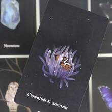 Kartu Oracle Dewa Malam Gelap: Mengambil inspirasi dari alam dan energi bulan serta bintang, kartu-kartu indah ini sangat cocok untuk panduan harian dan meditasi. - Navy Blue - View 7