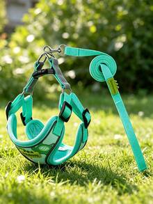 Pet Harness And Leash Set, Breathable Mesh, Reflective Adjustable Structure, For Small Dogs Outdoor Walking, For All‑Season Use - Green - View 3