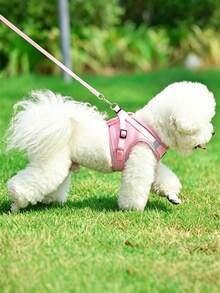 1 Set Pet Harness & Leash Set, Suitable For All Seasons, Fits Small And Medium Dogs, Vest‑Style Breathable Mesh Harness, Adjustable Reflective Design For Outdoor Walking - Pink - View 3