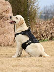 1pc Black Pet Harness, Minimalist Outdoor Training Adjustable Large Dog Vest, Suitable For Dog Walking And Training - Black - View 4