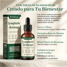 Elfleaf Lymphatic Drainage Drops 60ml, Natural Herbal Extracts, Lymphatic Support Supplement - 60ml - View 3