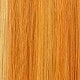 Blonde Highlight