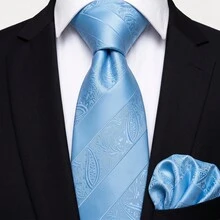 男士領帶套裝，經典時尚領帶與口袋巾套組，適用於婚禮、商務與宴會 - 淺藍色 - 查看 7