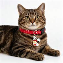 Breakaway Cat Collar For Boy And Girl Cats, With Removable Bell And Charms, Christmas Plaid Polka-Dot Red Kitten Collars, Pink Stars Patterned - Red - View 4