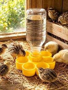 Automatic Quail Waterer 6-Cup Poultry Waterer Suitable For Chickens And Ducks Transparent Bird Water Feeder Poultry Water Dispenser - Multicolor - View 7