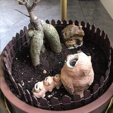 1件仙女花園迷你圍欄，9.5cm/90cm木製迷你柵欄邊緣裝飾，適用於DIY玻璃容器、多肉植物、花盆、娃娃屋庭院與迷你村莊花園裝飾 - 彩色 - 查看 10