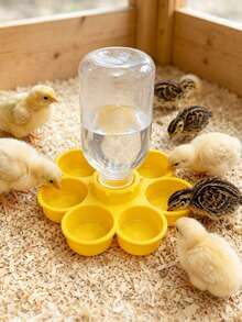 Automatic Quail Waterer 6-Cup Poultry Waterer Suitable For Chickens And Ducks Transparent Bird Water Feeder Poultry Water Dispenser - Multicolor - View 3
