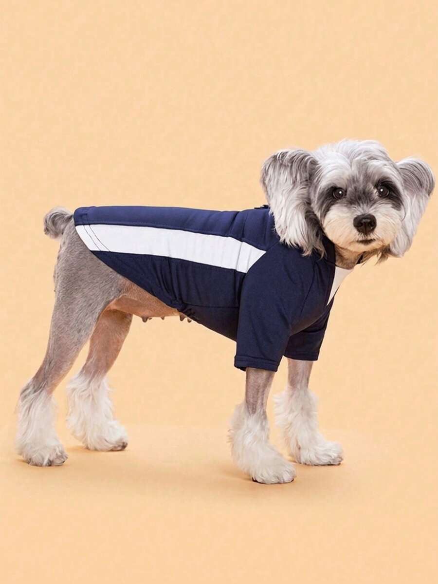 Hoodie Hewan Peliharaan Minimalis, Modis, dan Nyaman, Cocok untuk Kucing Berukuran Kecil hingga Sedang dan Anjing Bahagia, Dapat Digunakan Sepanjang Musim di Rumah dan Luar Ruangan - Biru - View 1