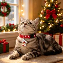 Breakaway Cat Collar For Boy And Girl Cats, With Removable Bell And Charms, Christmas Plaid Polka-Dot Red Kitten Collars, Pink Stars Patterned - Red - View 7