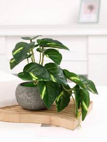 1pc Artificial Potted Plant For Home Decor, Valentine Day, Gift Gifts Birthday Graduation - Green - View 13