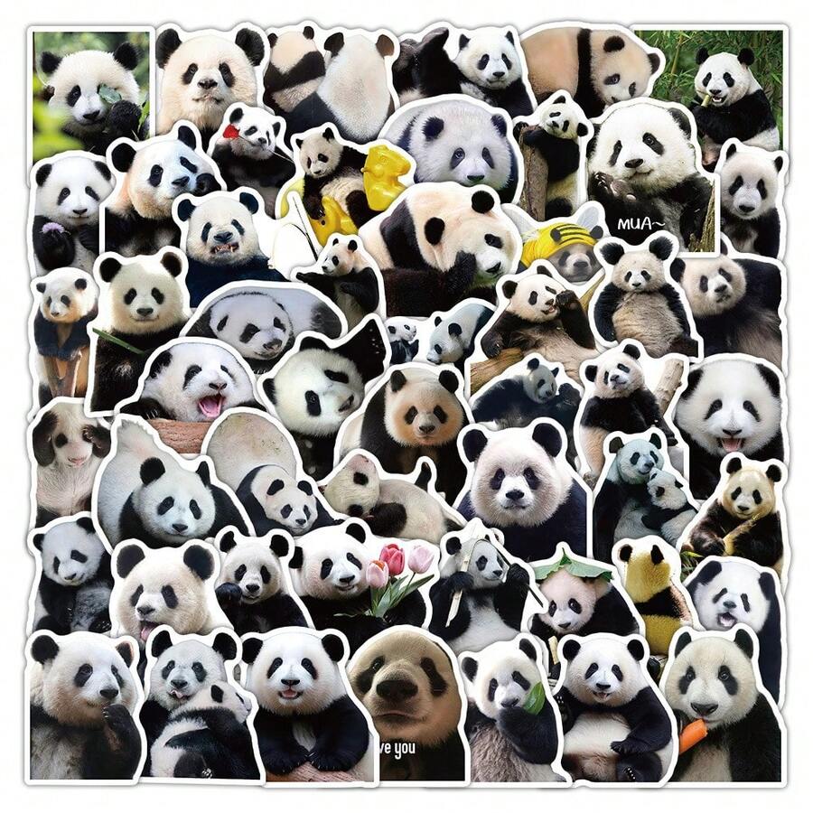 61PC Meme Panda Stickers, Cute Funny Panda Expression Decals, DIY Decor ...
