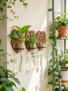 3/1 cái giá treo tường lá Monstera để nhân giống cây kèm ống nghiệm, trang trí tường thủy canh phong cách Bohemian, phù hợp cho phòng khách và phòng tắm - Nhiều kiểu dáng - Xem 3