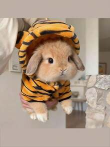 1pc Tiger Transformation Pattern Sweatshirt, Cute Tiger Design Spring/Autumn Warm Sweatshirt, Rabbit Pet Accessories, Rabbit Pet Supplies, Rabbit, Rabbit Pet Accessories, Rabbit Pet Supplies, Valentine's Day - Multicolor - View 5