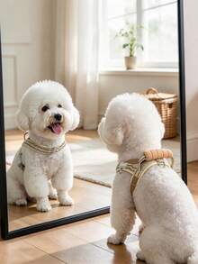 Multi-Color Foam Top Handle Dog Harness, Breathable Mesh Lining Saddle Vest, D-Ring Leash Attachment, Adjustable Reflective Wavy Pattern Pet Walking Harness, Suitable For Small And Medium Dogs, Fashionable Pet Accessory, Ideal For Daily Training, Hiking And Travel - Khaki - View 3