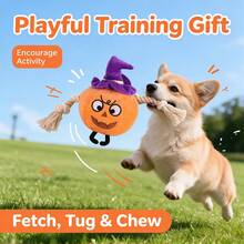 10pcs Halloween Pumpkin Plush Dog Rope Toy, Witch Hat Design Interactive Tug Fetch Chew Toy For Pets Training - Ginger - View 1