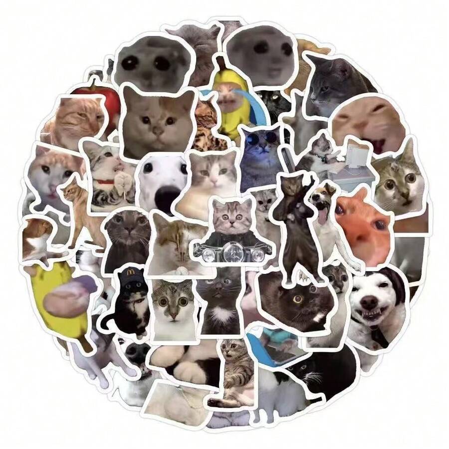 100pcs Animal Reading Activity Stickers | Vinyl Aesthetic Decals ...