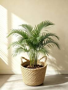 Giỏ lưu trữ đan tối giản, giỏ trồng cây phong cách Bohemian bằng cỏ biển, giá đỡ chậu hoa thủ công, trang trí nhà cửa, chậu trồng cây trong nhà - Giỏ đan tai mèo - Xem 10