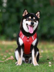 1pc Adjustable Reflective Breathable Pet Dog Harness, Suitable For Small, Medium, Large Dogs, Cats And Puppies, Dog Accessories - Red - View 3