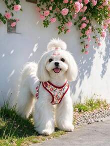 Dog Harness And Leash Set, Floral Pattern Double-Layer Breathable Mesh Vest Harness, Adjustable Soft And Durable Pet Walking Harness And Leash Set, Suitable For Small And Medium Dogs - Red - View 2