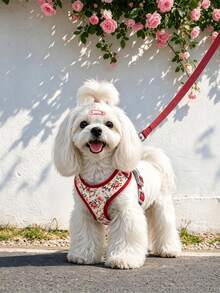 Dog Harness And Leash Set, Floral Pattern Double-Layer Breathable Mesh Vest Harness, Adjustable Soft And Durable Pet Walking Harness And Leash Set, Suitable For Small And Medium Dogs - Red - View 1