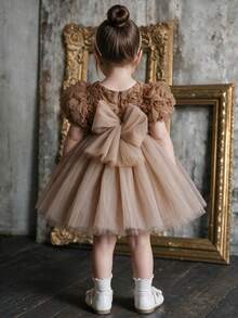Baby Girl 3D Flower Petal Sleeve Tutu Mesh Dress, Birthday Party Dress, Formal Occasion Dress - Brown - View 3