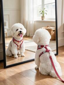 Dog Harness And Leash Set, Floral Pattern Double-Layer Breathable Mesh Vest Harness, Adjustable Soft And Durable Pet Walking Harness And Leash Set, Suitable For Small And Medium Dogs - Red - View 3