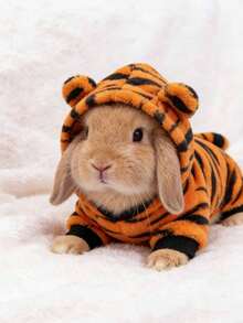 1pc Tiger Transformation Pattern Sweatshirt, Cute Tiger Design Spring/Autumn Warm Sweatshirt, Rabbit Pet Accessories, Rabbit Pet Supplies, Rabbit, Rabbit Pet Accessories, Rabbit Pet Supplies, Valentine's Day - Multicolor - View 8