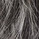 Gray Highlight