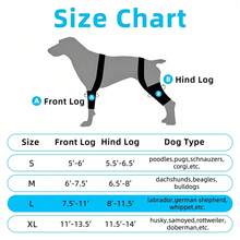 Dog Leg Stabilizer Brace, Spring Supported Pet Knee Wrap, Breathable Polyester Support Brace For Small Dog Ligament Injury - Black - View 2