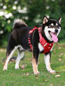 1pc Adjustable Reflective Breathable Pet Dog Harness, Suitable For Small, Medium, Large Dogs, Cats And Puppies, Dog Accessories - Red - View 2