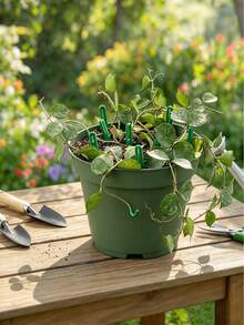 100/50/20/5 قطع شوك بلاستيكية للكرمة، أوتاد حديقة بلاستيكية على شكل حرف U، مثبتات الكرمة، مشابك دعم النباتات، مناسبة لأغصان الفراولة، مناسبة أيضًا لقصاصات النباتات وتجذير السيقان الزاحفة، أوتاد تثبيت حديقة قابلة لإعادة الاستخدام - متعدد الألوان - مشاهدة 7