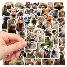 50pcs Realistic Surprised Animal Face Stickers, Waterproof Stickers, Suitable For Bicycle, Laptop, Desk Decoration - Multicolor - View 1