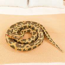 1pc Realistic Snake Shaped Plush Doll, Vivid Scale Pattern Design, Soft Fabric And Durable Stitching, Suitable For Room Display And Personal Collection - Multicolor - View 10