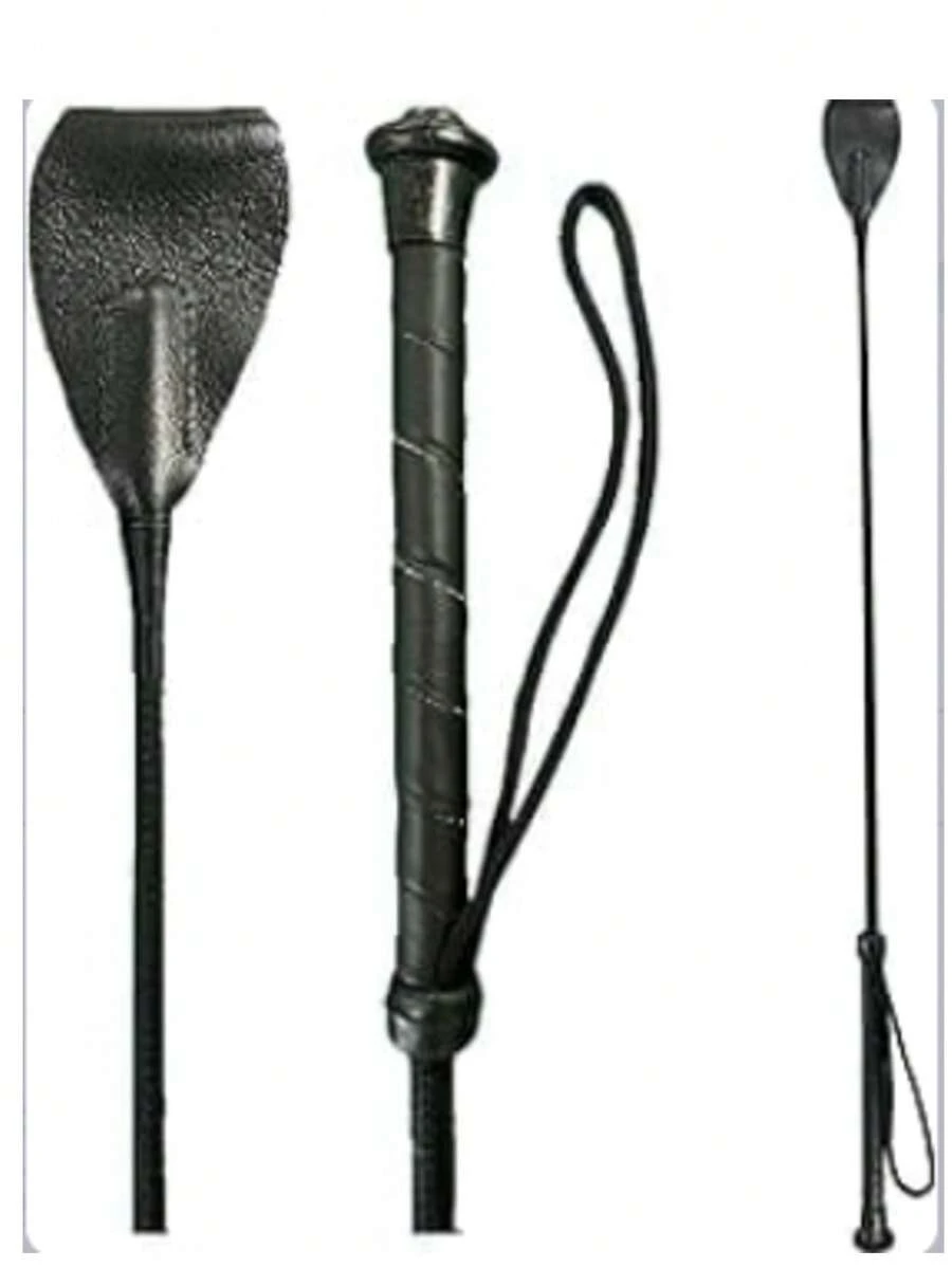 3pcs Outdoor Horse Training Whips, Suitable For Beginner Horse Riding Training - Multicolor - View 1