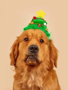 Festive Christmas Tree Dog Headband, Adjustable Pet Xmas Decor Headpiece, Holiday Party Accessory Fits Large Dogs - Multicolor - View 2