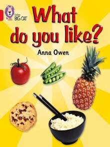 What Do You Like? - Single Book - View 2