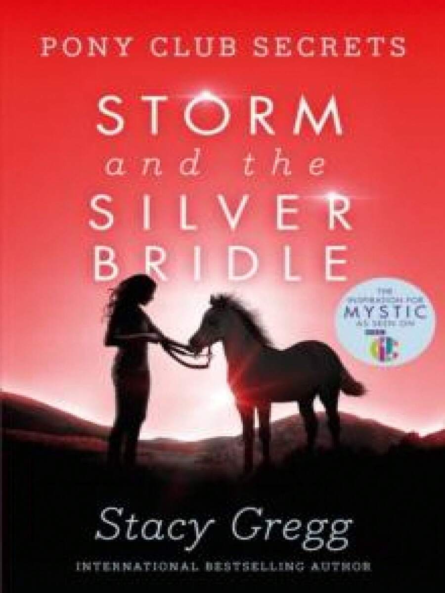 Storm And The Silver Bridle - Single Book - View 1