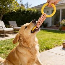 Durable Dog Rope Toy, Interactive Tug-Of-War Toy With 2 Rubber Rings, Thick Braided Cotton Rope Suitable For Small, Medium And Large Dogs, Outdoor Yard And Backyard Play, Dental Cleaning Chew Rope, Puppy Training And Boredom Relief Pet Supplies - Yellow - View 7