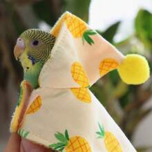 Parrot Cape Small Cloak Bird Clothes Thickened Warm Tiger Print Cockatiel Outdoor Wear - View 5