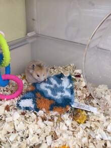 Plush Hamster Sleeping Mat, Random Pattern, Winter Warm Sleeping Mat, Plush Style, All-Season Hamster Sleeping Mat, Soft And Warm, Suitable For Small Hamsters, Christmas Gift, Halloween Gift - A-Blue - View 8