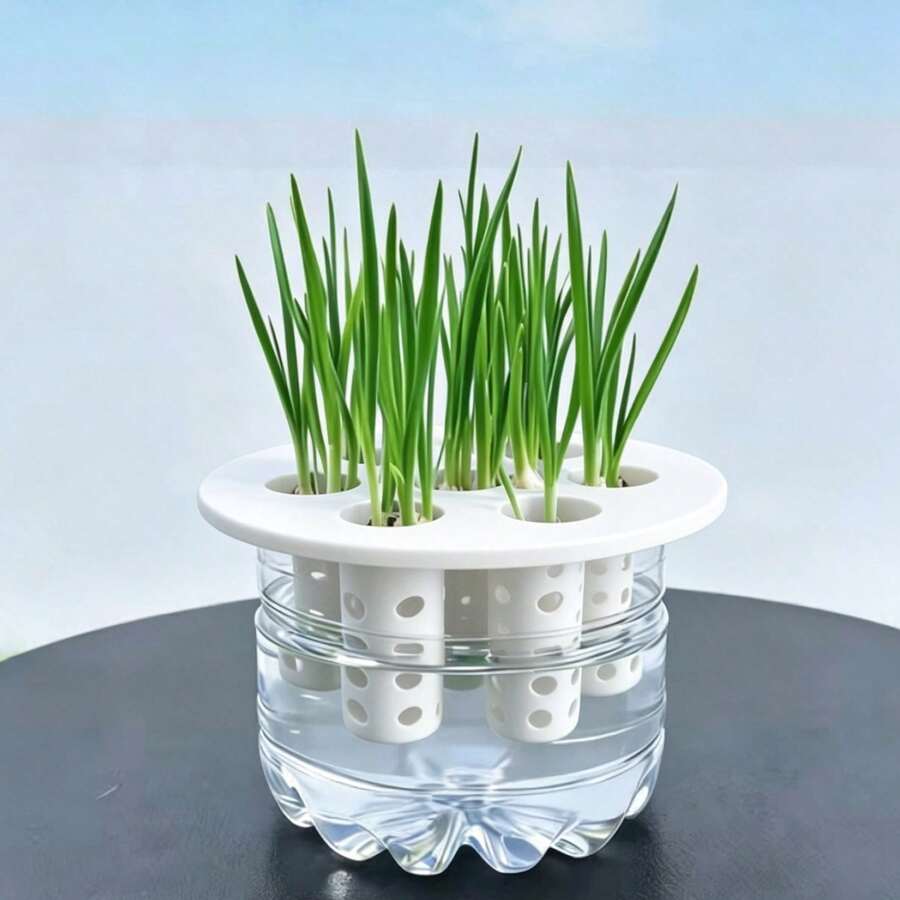 2pcs Hydroponic Garlic & Onion Molds, 3D Printed Plant Growing Kit, Kitchen Balcony Essential DIY Gardening Tool, Slouchy Indoor Planting, Home Gardening Hydroponic System Accessory, White, 6 Holes - Multiple Specifications - View 1