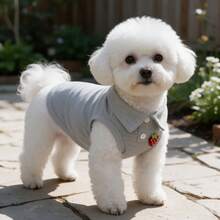 1pc Cute Strawberry Embroidery Pet Sleeveless Polo Shirt, Soft Breathable Dog Vest, Summer Puppy Clothes For Small Dogs Bichon Teddy - Grey - View 1