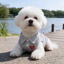 1pc Cute Strawberry Embroidery Pet Sleeveless Polo Shirt, Soft Breathable Dog Vest, Summer Puppy Clothes For Small Dogs Bichon Teddy - Grey - View 6