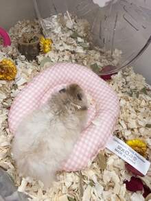 Winter Pink Warm Hamster Nest, Soft Sleeping Pad For Hamsters, All-Season Use, Plaid Style, Soft Fabric, Suitable For Hamsters To Rest, Sleep, Play, Large Size Fits All Hamsters - A-Pink - View 6